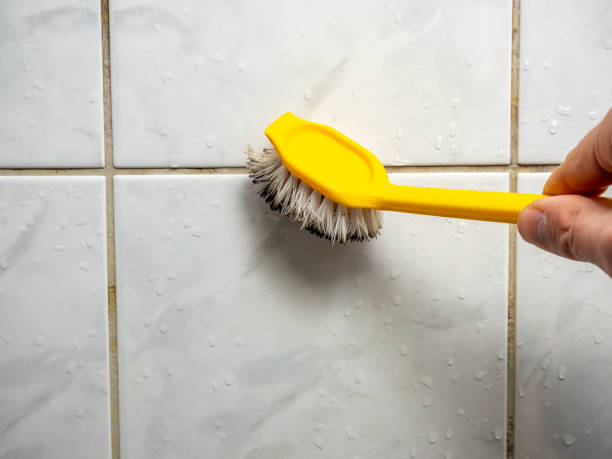 Certified Mold Removal in Denver, PA