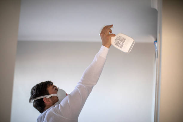 Best Fast Mold Removal  in Denver, PA